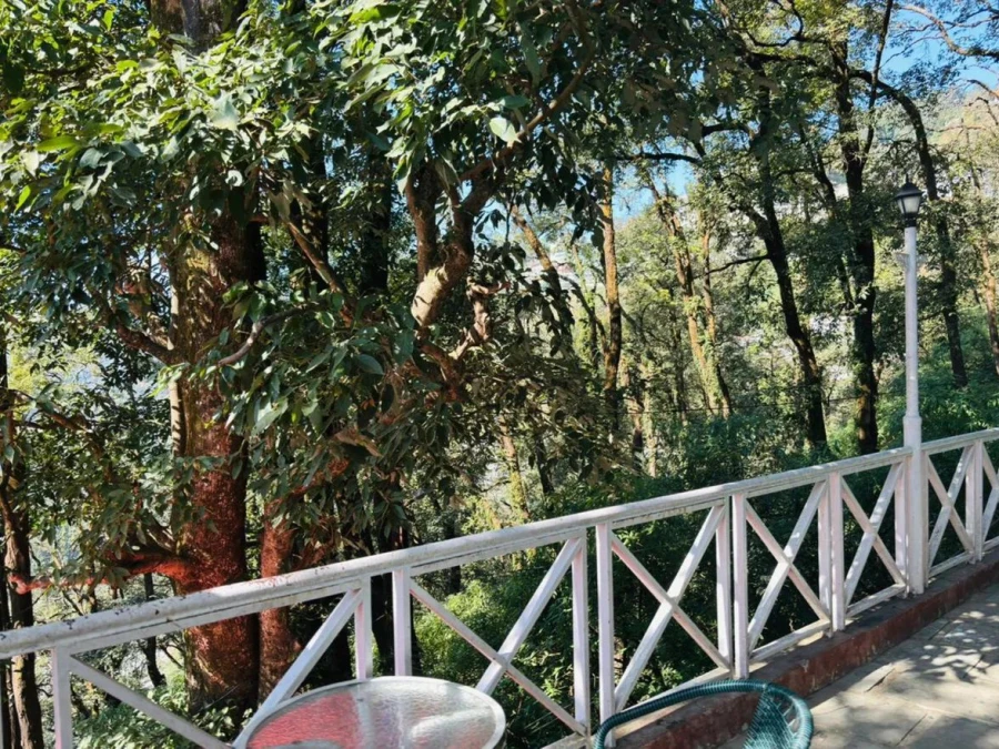 Aranya Forest