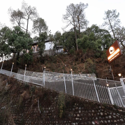 Gallery photo 92